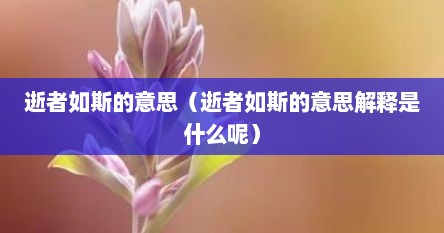 逝者如斯的意思（逝者如斯的意思解释是什么呢）