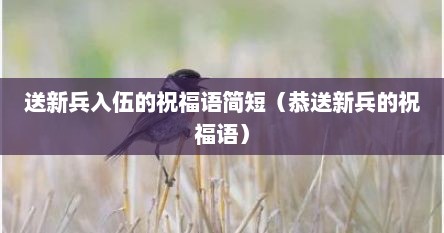 送新兵入伍的祝福语简短（恭送新兵的祝福语）