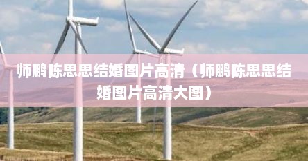 陈思思和师鹏什么关系（师鹏是陈思思丈夫吗）