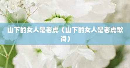 山下的女人是老虎（山下的女人是老虎歌词）