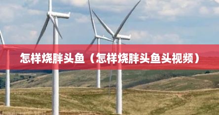怎样烧胖头鱼（怎样烧胖头鱼头视频）