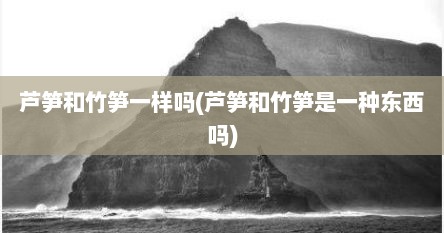 芦笋和竹笋一样吗(芦笋和竹笋是一种东西吗)