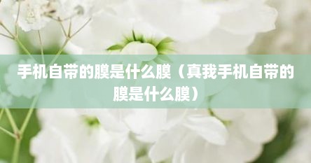 手机自带的膜是什么膜（真我手机自带的膜是什么膜）