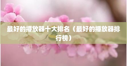 最好的播放器十大排名（最好的播放器排行榜）