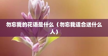 勿忘我的花语是什么（勿忘我适合送什么人）