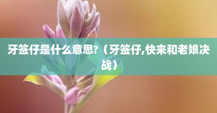 牙签仔是什么意思?（牙签仔,快来和老娘决战）