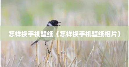 怎样换手机壁纸（怎样换手机壁纸相片）