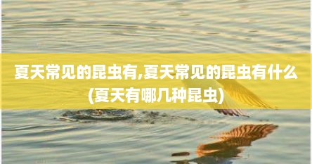 夏天常见的昆虫有,夏天常见的昆虫有什么(夏天有哪几种昆虫)