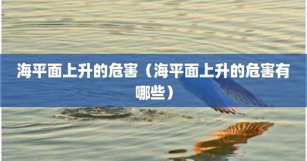 海平面上升的危害（海平面上升的危害有哪些）