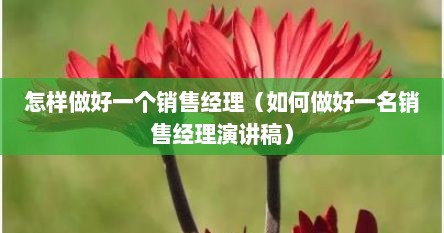 怎样做好一个销售经理（如何做好一名销售经理演讲稿）