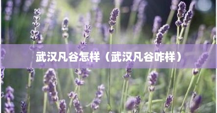 武汉凡谷怎样（武汉凡谷咋样）