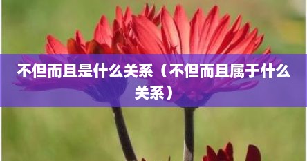 不但而且是什么关系（不但而且属于什么关系）