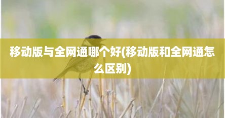 移动版与全网通哪个好(移动版和全网通怎么区别)