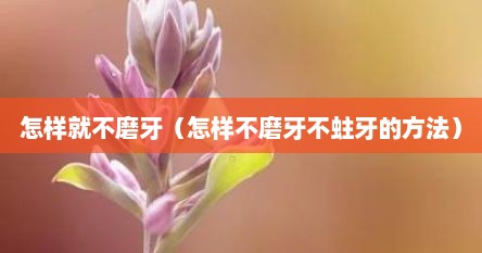 怎样就不磨牙（怎样不磨牙不蛀牙的方法）