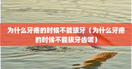 为什么牙疼的时候不能拔牙（为什么牙疼的时候不能拔牙齿呢）