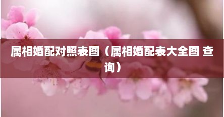 属相婚配对照表图（属相婚配表大全图 查询）