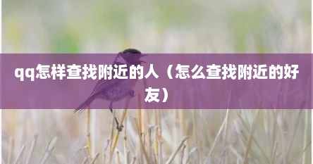 qq怎样查找附近的人（怎么查找附近的好友）