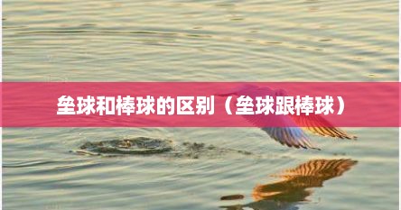 垒球和棒球的区别（垒球跟棒球）