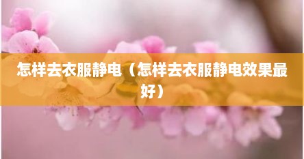 怎样去衣服静电（怎样去衣服静电效果最好）