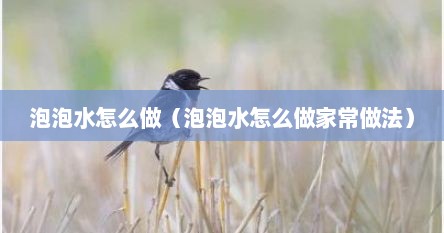 泡泡水怎么做（泡泡水怎么做家常做法）