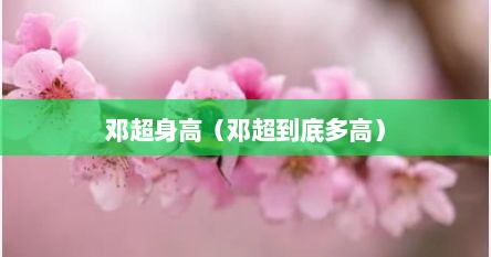 邓超身高（邓超到底多高）