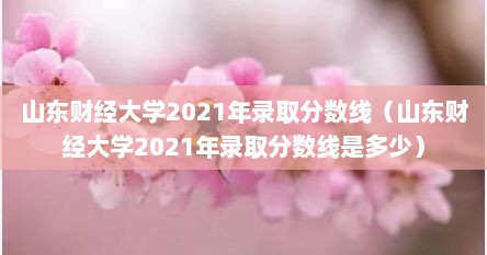 山东财径大学2021年录取分数线（山东财径大学2021年录取分数线是多少）