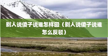 别人说傻子说谁怎样回（别人说傻子说谁怎么反驳）