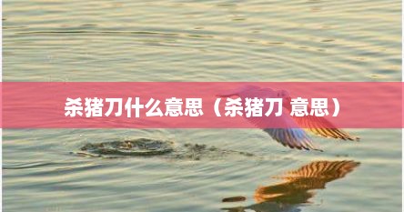 杀猪刀什么意思（杀猪刀 意思）