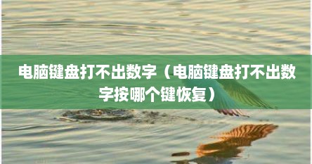 电脑键盘打不出数字（电脑键盘打不出数字按哪个键恢复）