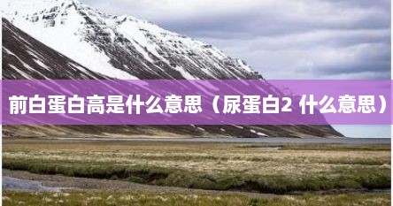 前白蛋白高是什么意思（尿蛋白2 什么意思）