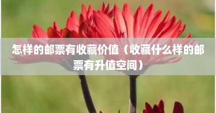 怎样的邮票有收藏价值（收藏什么样的邮票有升值空间）