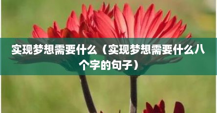 实现梦想需要什么（实现梦想需要什么八个字的句子）