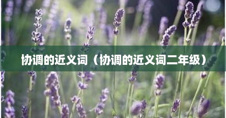 协调的近义词（协调的近义词二年级）