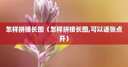 怎样拼接长图（怎样拼接长图,可以逐张点开）