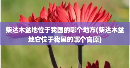 柴达木盆地位于我国的哪个地方(柴达木盆地它位于我国的哪个高原)