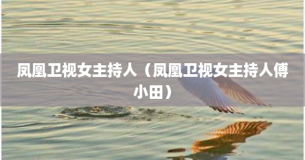 凤凰卫视女主持人（凤凰卫视女主持人傅小田）