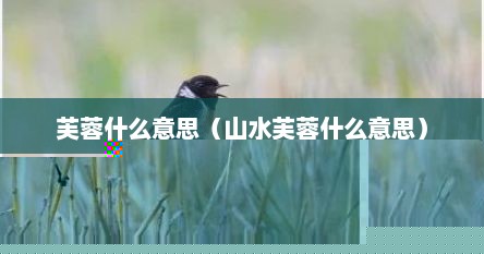 芙蓉什么意思（山水芙蓉什么意思）