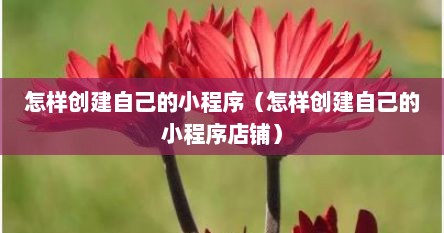 怎样创建自己的小程序（怎样创建自己的小程序店铺）