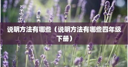 说明方法有哪些（说明方法有哪些四年级下册）