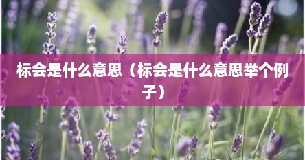 标会是什么意思（标会是什么意思举个例子）