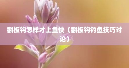 翻板钩怎样才上鱼快（翻板钩钓鱼技巧讨论）