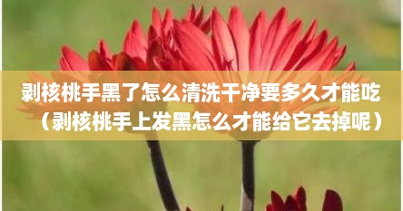 剥核桃手黑了怎么清洗干净要多久才能吃（剥核桃手上发黑怎么才能给它去掉呢）