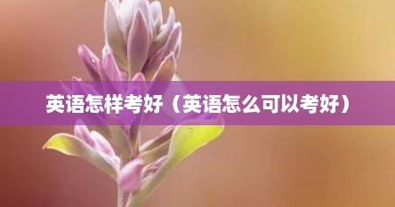 英语怎样考好（英语怎么可以考好）