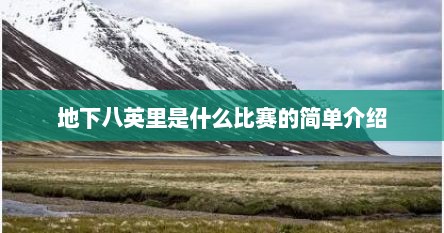 地下八英里是什么比赛的简单介绍