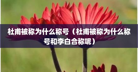 杜甫被称为什么称号（杜甫被称为什么称号和李白合称呢）