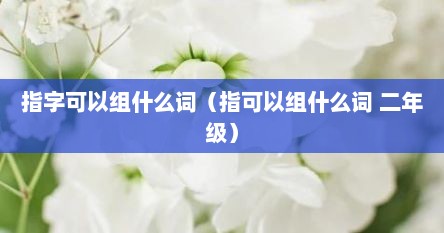 指字可以组什么词（指可以组什么词 二年级）