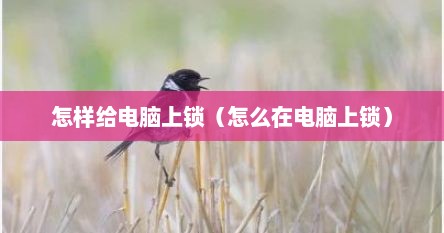 怎么样可以把电脑给锁上（怎么给我的电脑上锁）