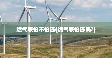 燃气表怕不怕冻(燃气表怕冻吗?)