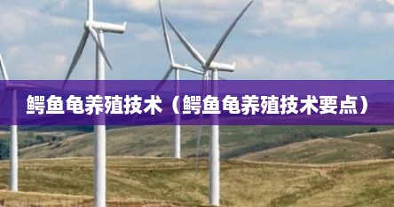 鳄鱼龟养殖技术指导（鳄鱼龟养殖技术和方法）