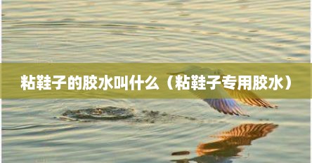 粘鞋子的胶水叫什么（粘鞋子专用胶水）